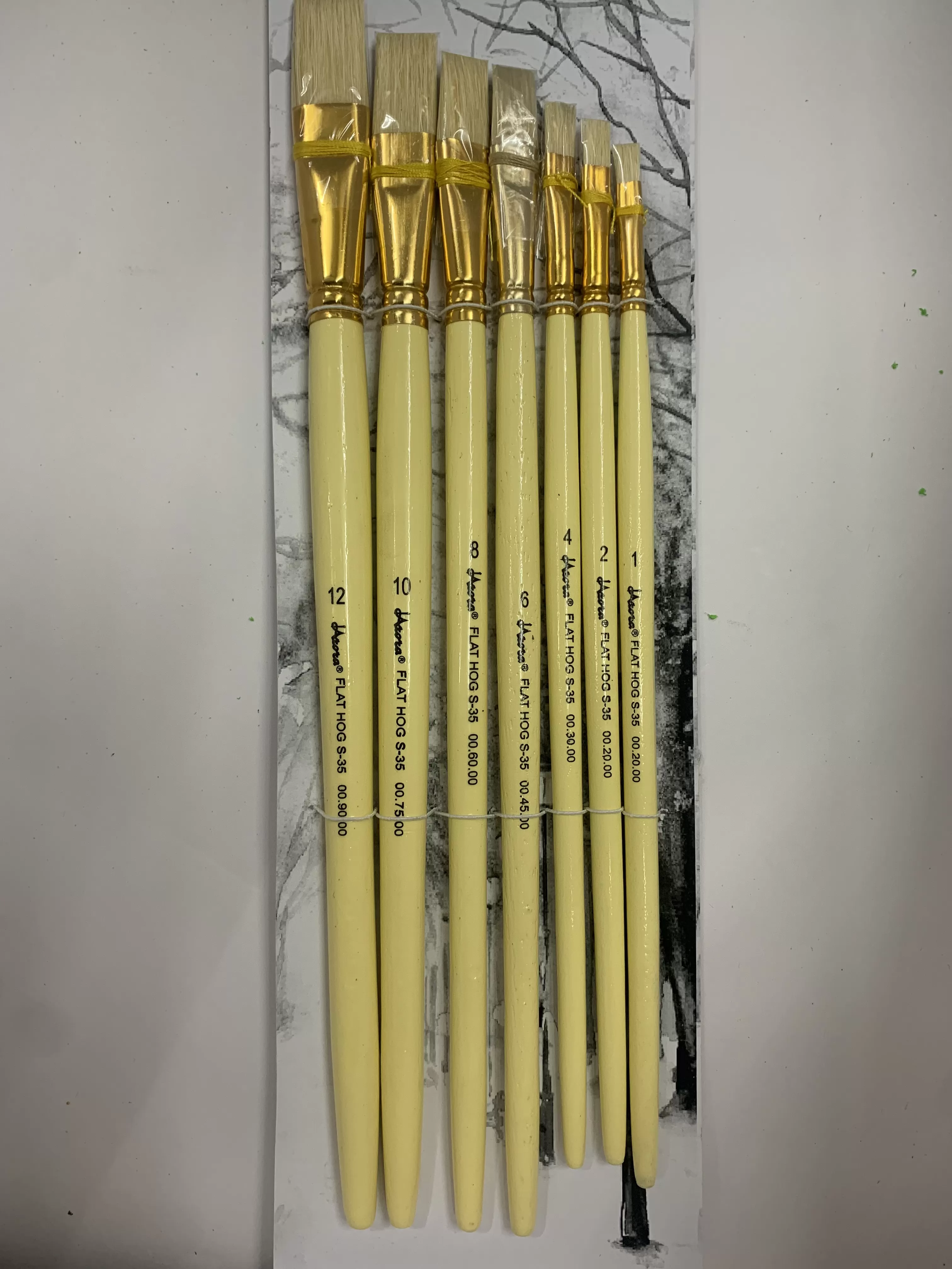 Brush Long Hnd S-35 WT Flat Hog ST-7
