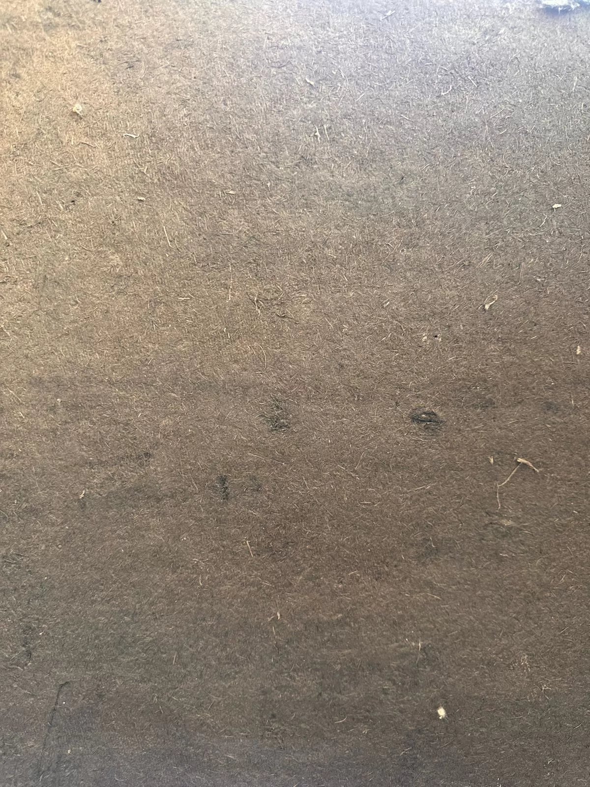 XANITA BOARD - 18MM Xanita Board Made Out Of Fibrous Residue With Black Moisture Resistant Dye On It MAATI Boards